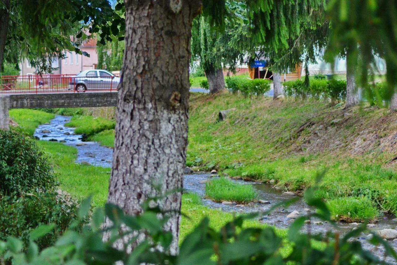 Pensiunea Salas Salasu de Sus ภายนอก รูปภาพ