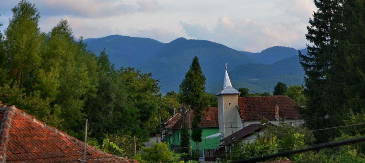 Pensiunea Salas Salasu de Sus ภายนอก รูปภาพ