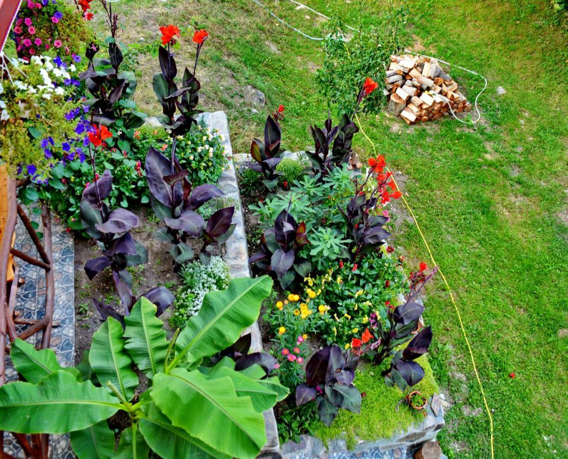 Pensiunea Salas Salasu de Sus ภายนอก รูปภาพ